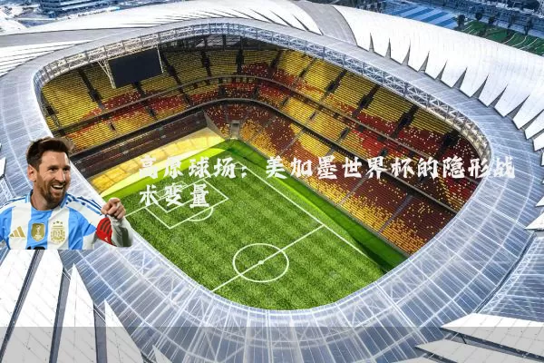 高原球场：美加墨世界杯的隐形战术变量